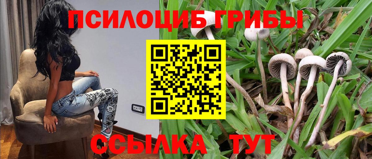 Орехово-Зуево  Галлюциногенные грибы Psilocybine cubensis  Вход с VPN 