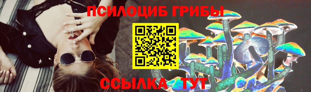 Псилоцибиновые грибы Psilocybine cubensis Орехово-Зуево